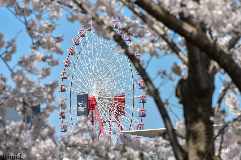 2025 F1 日本鈴鹿站觀賽之旅-行與宿